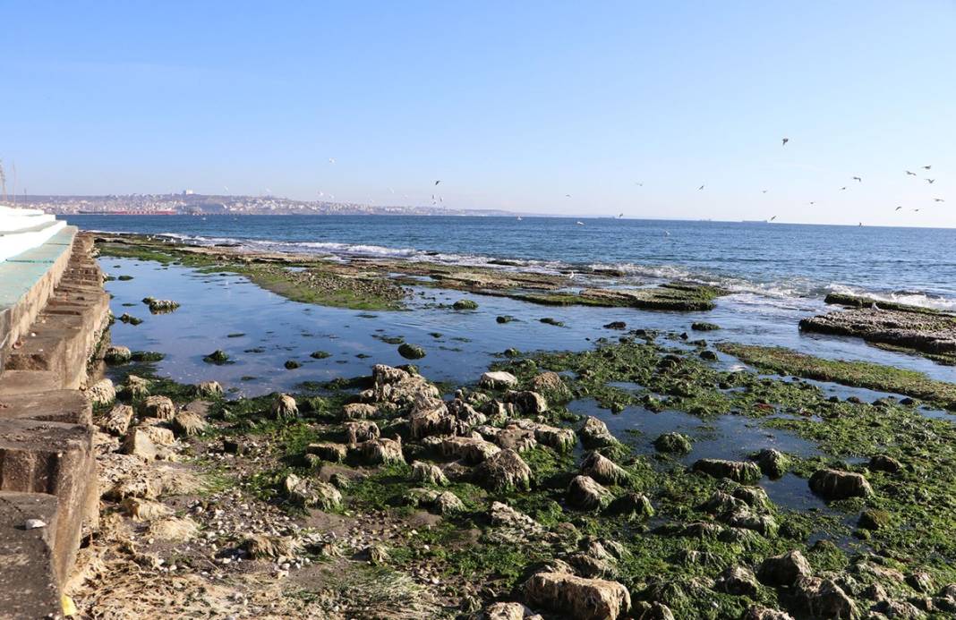 Marmara'da korkutan görüntü: Deniz 25 metre çekildi! Deprem habercisi mi? Uzmanı yanıtladı 7